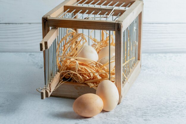 회색 표면에 새장 안팎으로 신선한 유기농 계란.