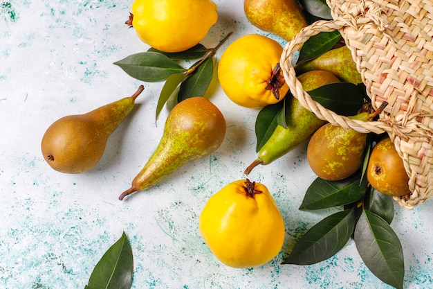 Fresh organic farm fruits, pears, quince, top view