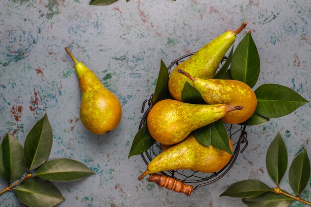 Fresh organic farm fruits, pears, quince, top view