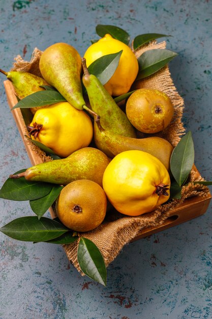 Fresh organic farm fruits, pears, quince, top view