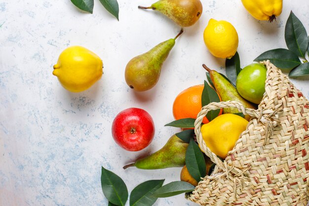 Fresh organic farm fruits,pears,quince,top view