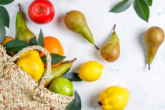 Fresh organic farm fruits,pears,quince,top view
