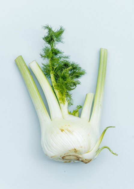 Fresh organic funnel vegetable