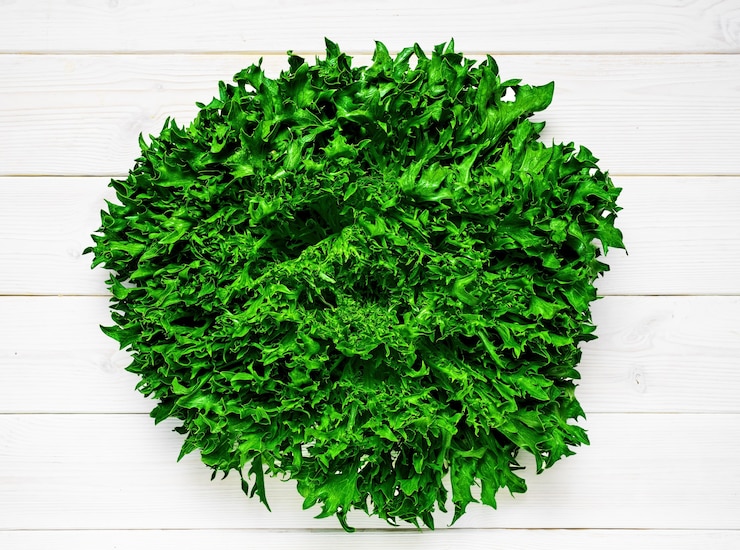Free Photo fresh organic lettuce on a white wooden table