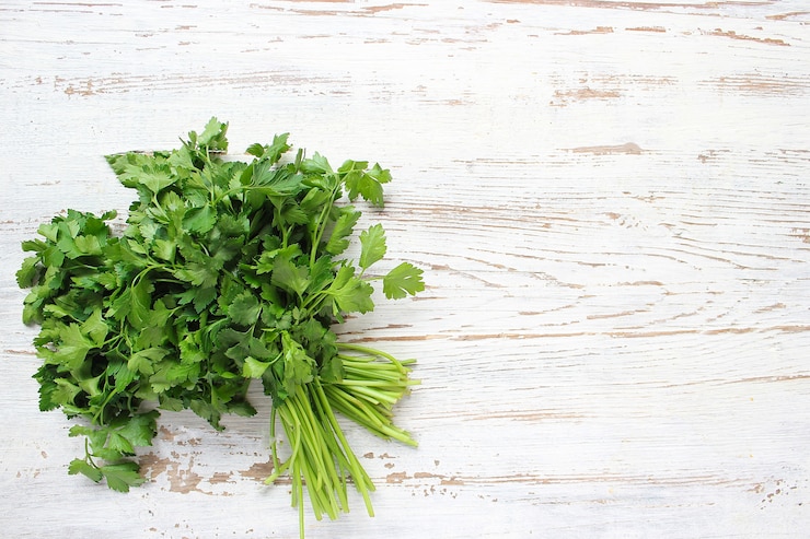 Free Photo fresh organic parsley and cucumber 