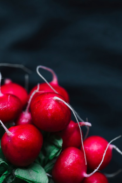 Fresh organic red radishes