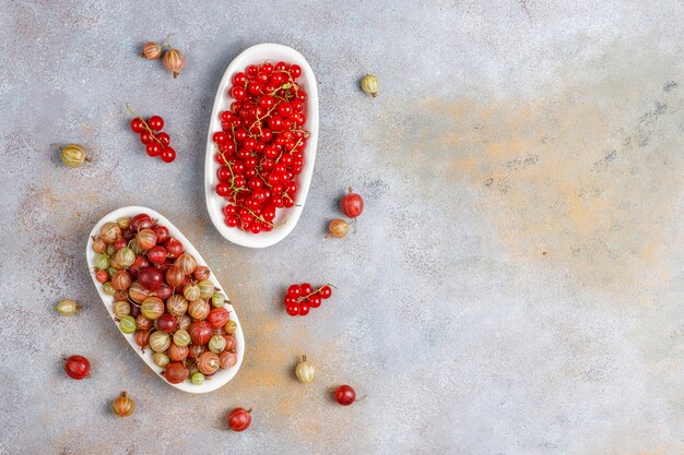 Fresh organic sweet gooseberries and red currants in bowls