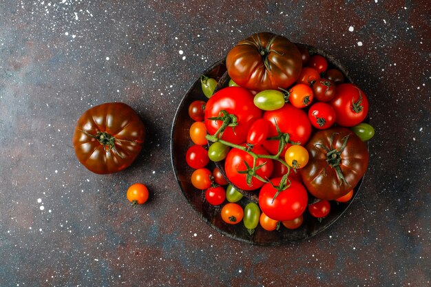 Fresh organic various tomatoes.