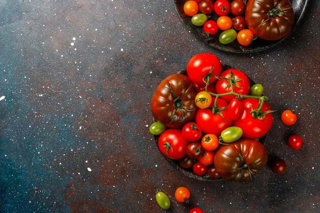 Fresh organic various tomatoes.