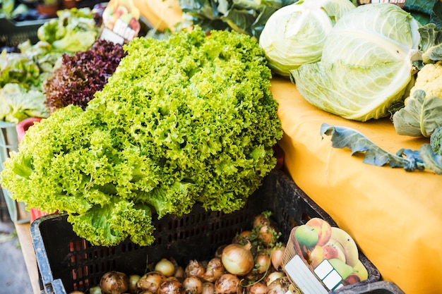 Fresh organic vegetable stall in market