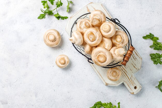 Fresh organic white mushrooms champignon,top view