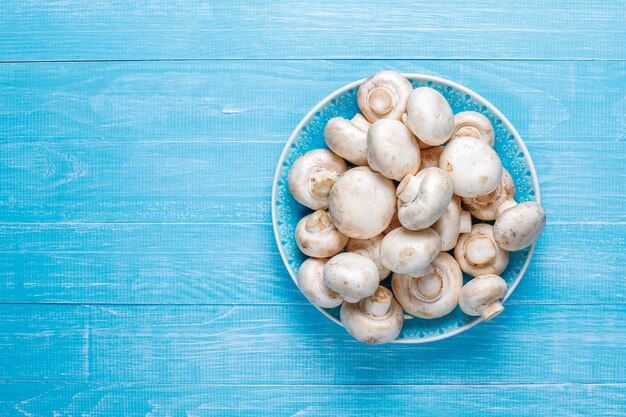 Fresh organic white mushrooms champignon,top view