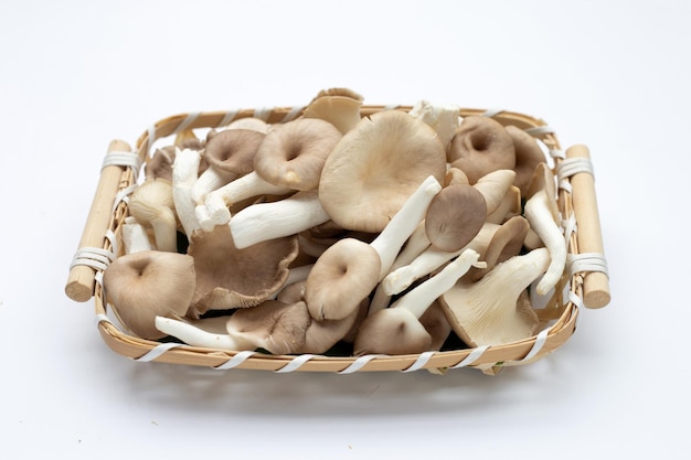 흰색 바탕에 대나무 바구니에 신선한 굴 버섯.