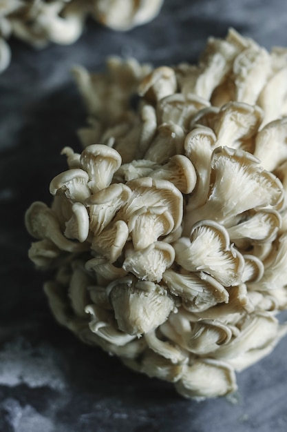 Fresh oyster mushrooms on a gray slate