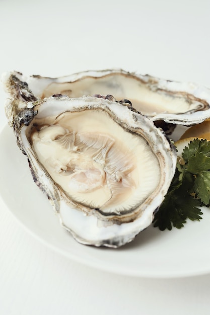 fresh oyster with lemon on a plate