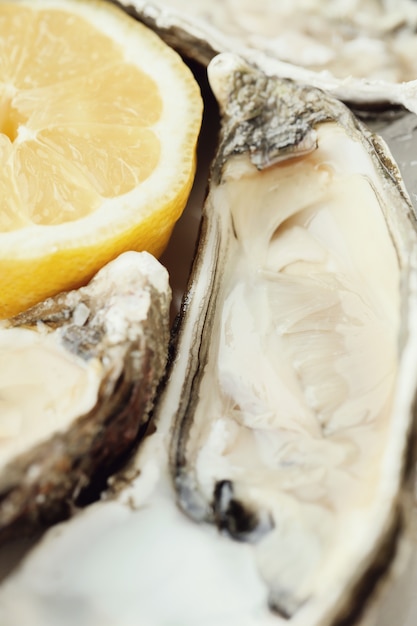 fresh oyster with lemon on a plate