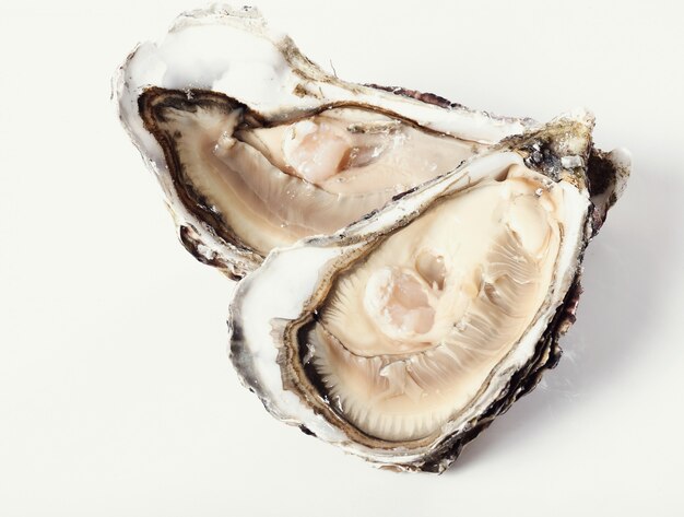 fresh oyster