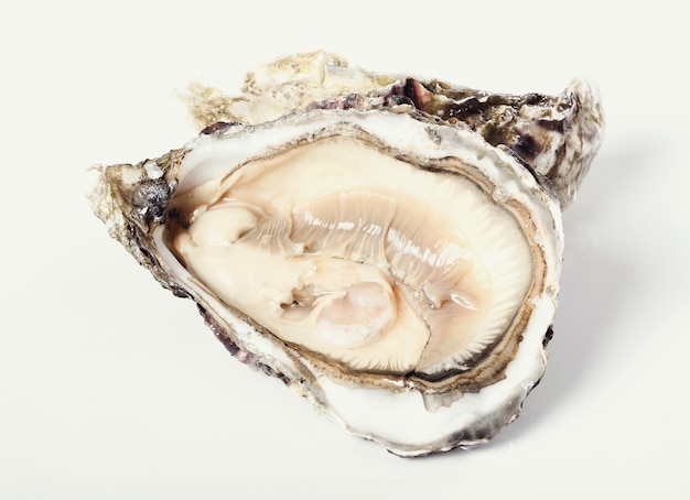 Free photo fresh oyster