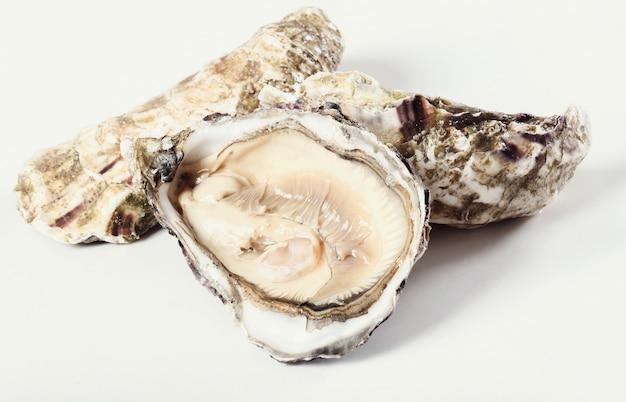 Free photo fresh oyster
