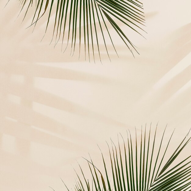 Свежие пальмовые листья на бежевом фоне