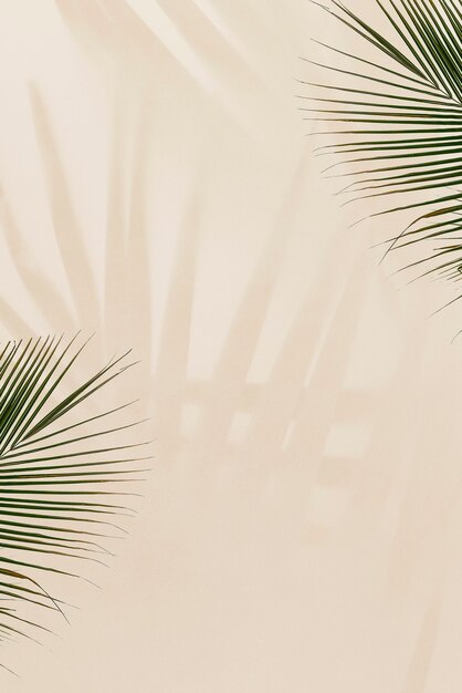 Fresh palm leaves on beige background