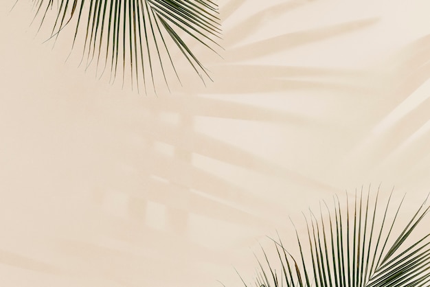 Fresh palm leaves on beige