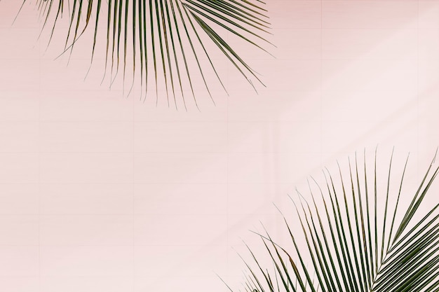 Free photo fresh palm leaves on pink background