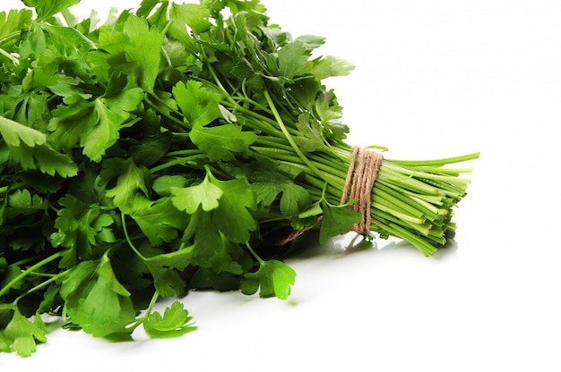 Fresh parsley isolated