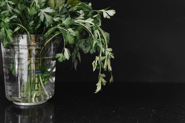 Fresh parsley in measuring jar on black background