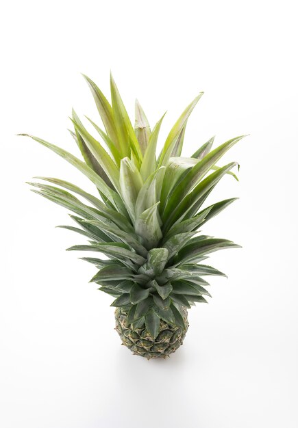 fresh pineapple