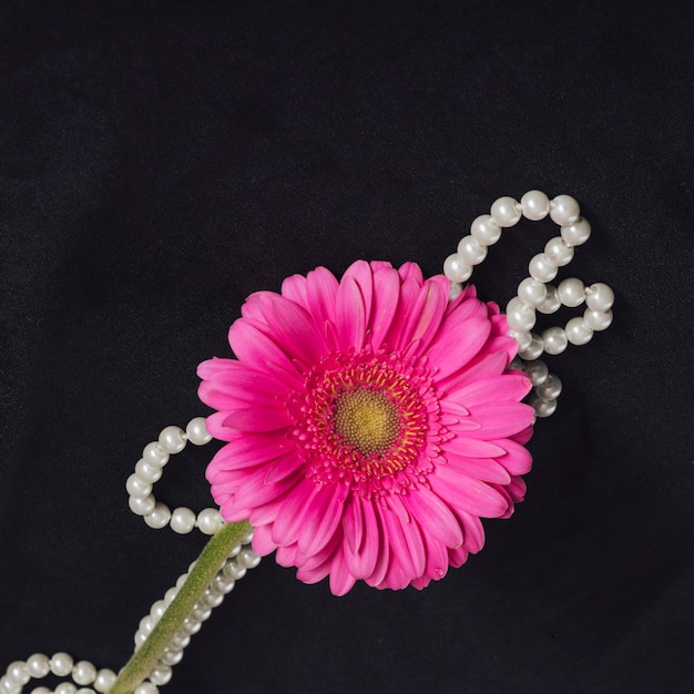 Fresh pink bloom with yellow center near beads