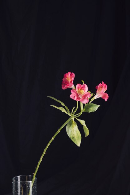 花瓶に新鮮なピンクの花