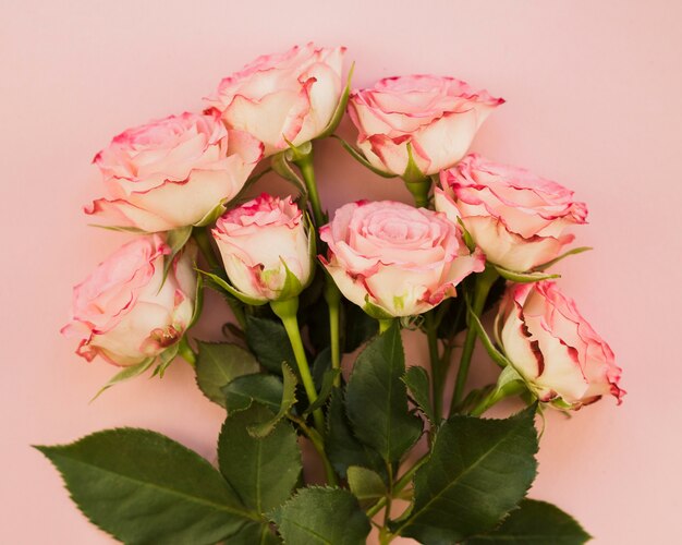 Foto gratuita bouquet di rose rosa fresca