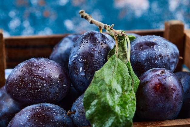 Fresh plums in the wooden basket