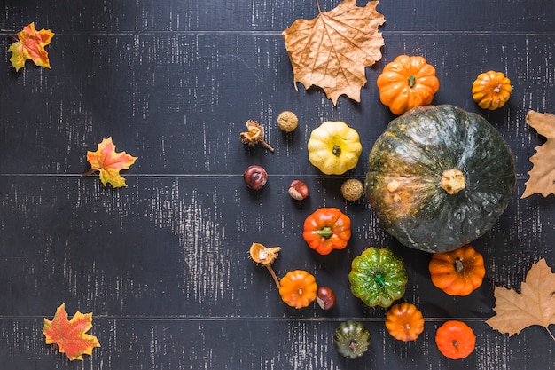 Fresh pumpkins and dry foliage 