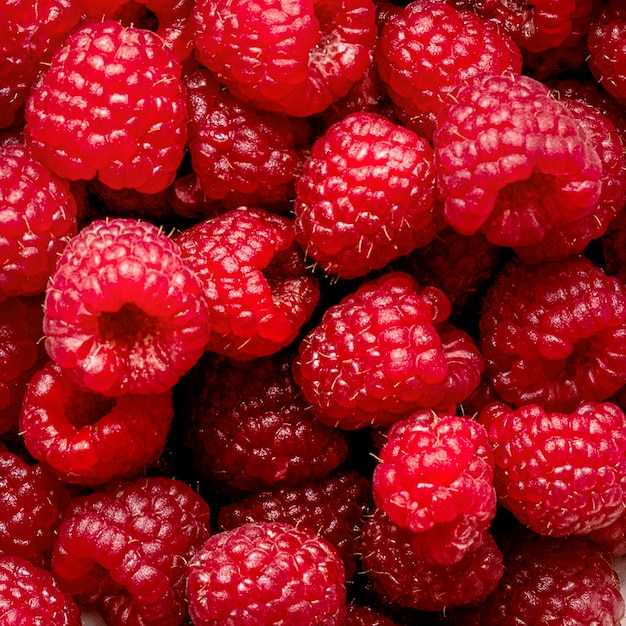 Fresh raspberries flat lay food photography