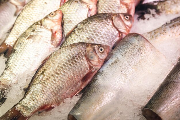 Fresh raw fish in ice on the counter in a grocery store