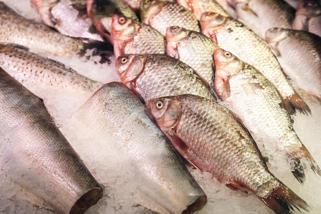 無料写真 食料品店のカウンターに氷の中の新鮮な生魚