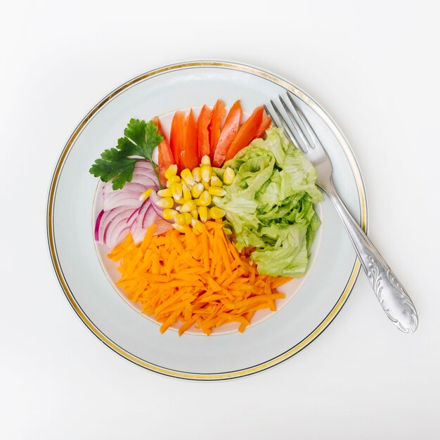 Fresh raw food with fork on plate