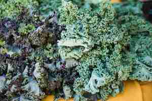 Free photo fresh raw green kale in market