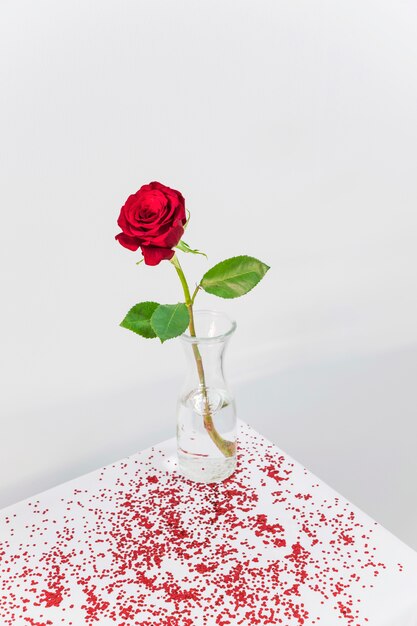 테이블에 색종이 사이의 꽃병에 신선한 붉은 꽃