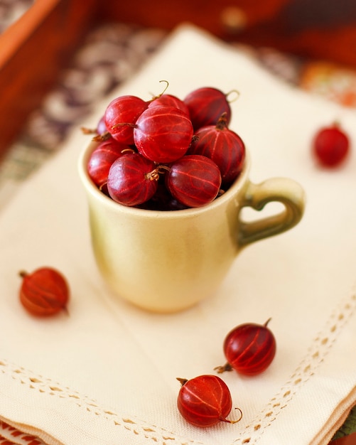 Free photo fresh red currants on gold plate