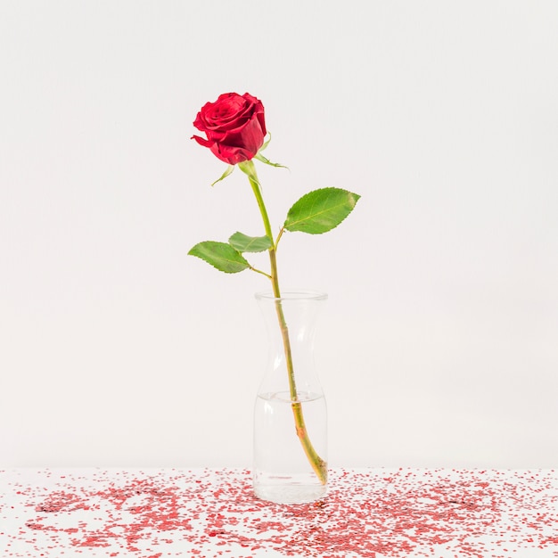 Fresh red flower in vase between confetti on table