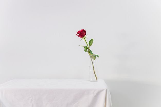 테이블에 꽃병에 신선한 빨간 꽃
