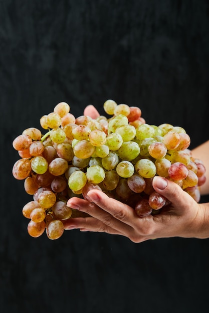 Fresh red grapes in hand on black background. High quality photo