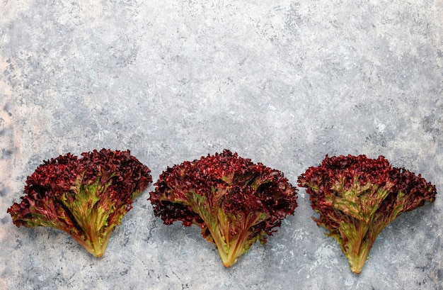 Fresh red lettuce on grey concrete table, top view