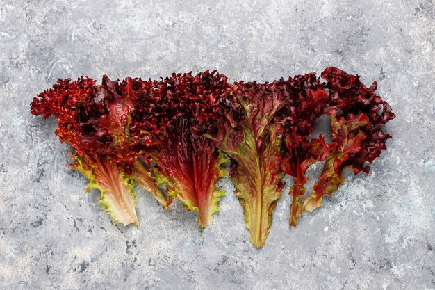 Fresh red lettuce on grey concrete table, top view