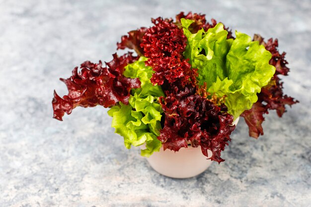 Fresh red lettuce on grey concrete table, top view