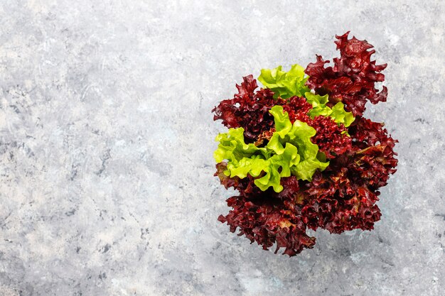Fresh red lettuce on grey concrete table, top view