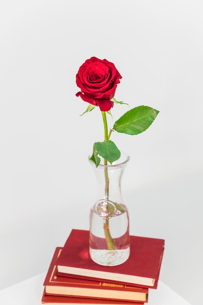Fresh red rose in vase on heap of books 